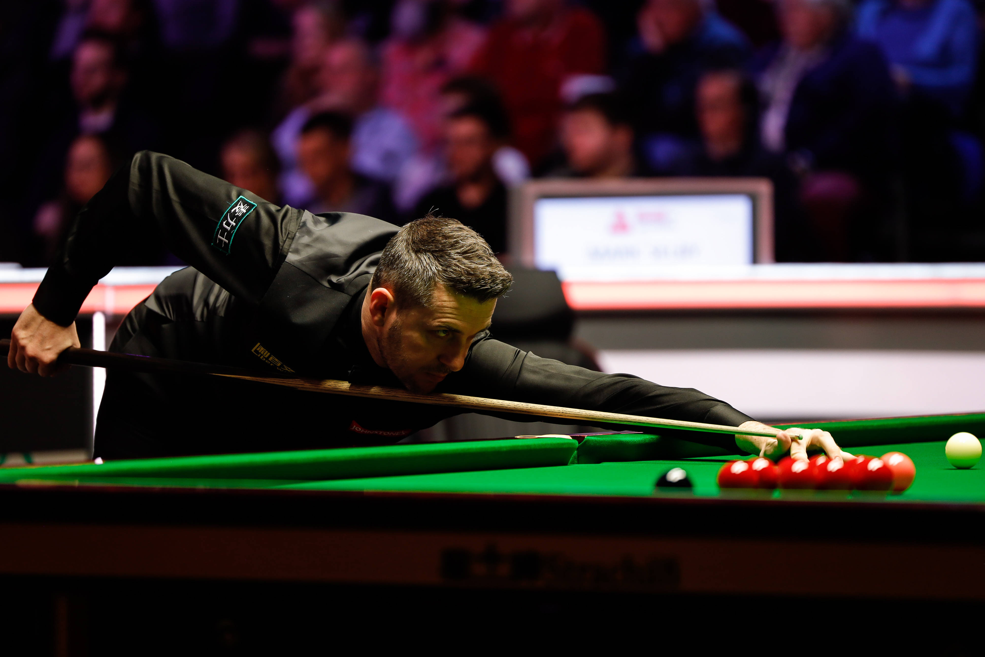 扬的那一个 扬的那一个